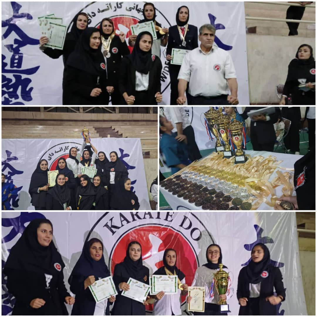 کردستان قهرمان مسابقات دای دو کشور شد